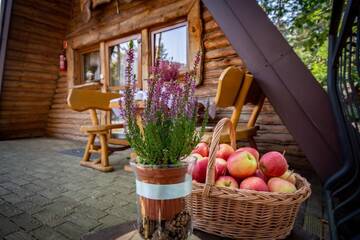Фото номера Шале с двумя спальнями Курортные отели POD GRZYBKIEM г. Popów 11